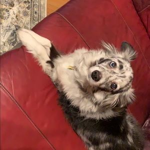 Meet your Posher, Lynn